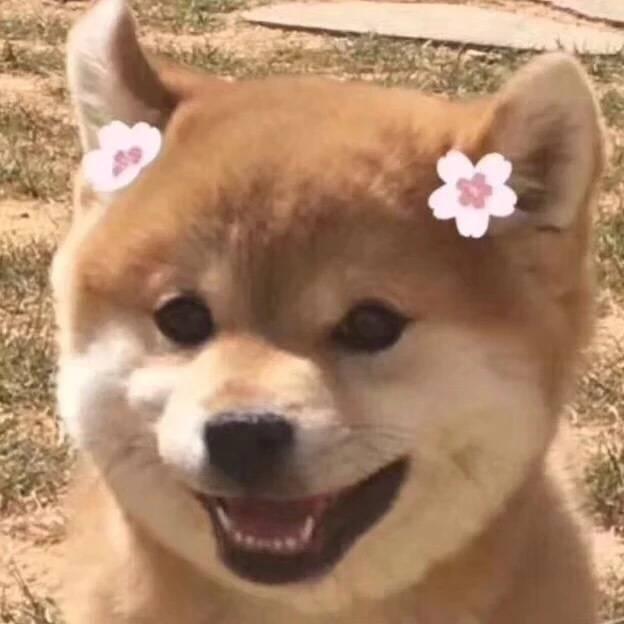 芋头芋头