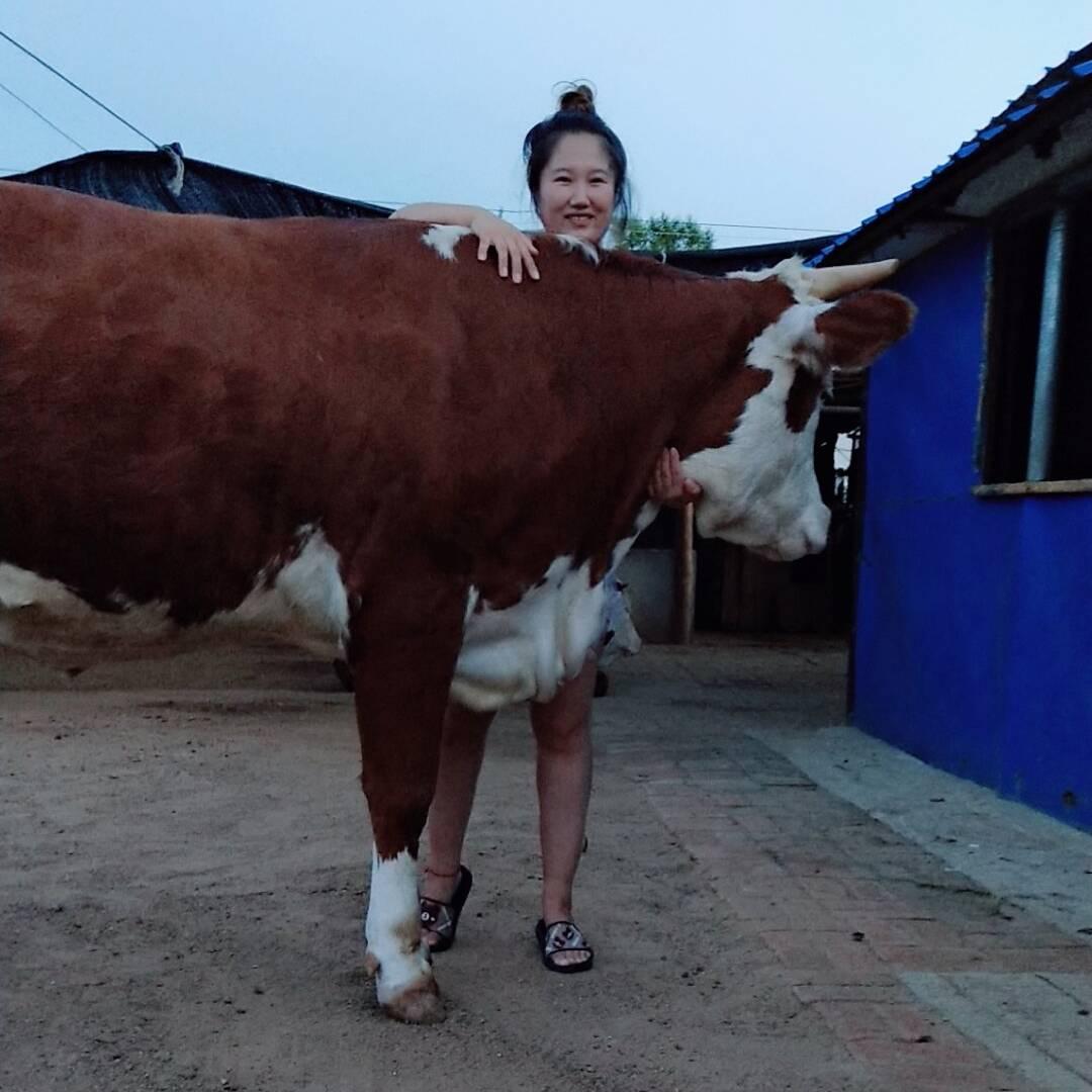 手工牛用品