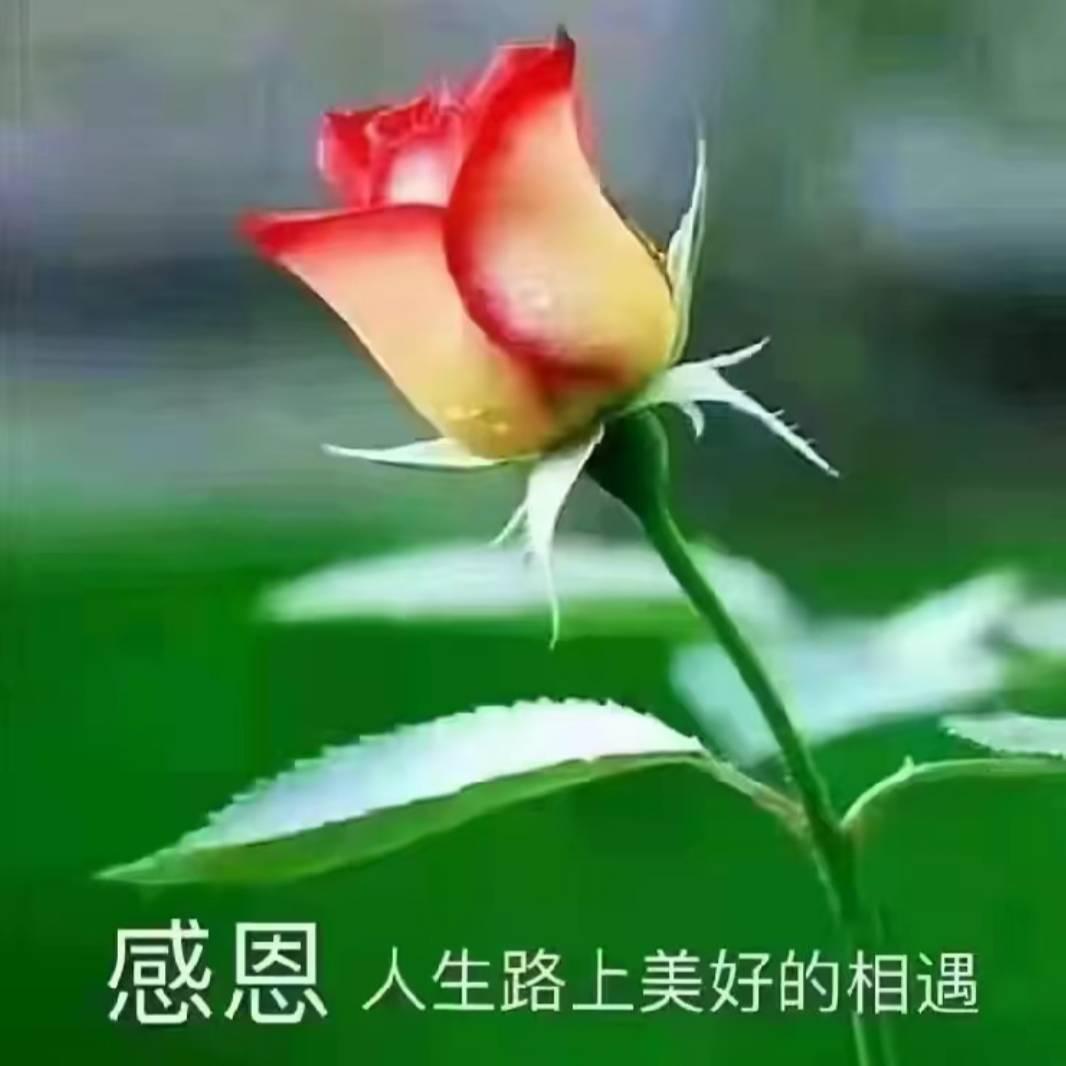 平安666
