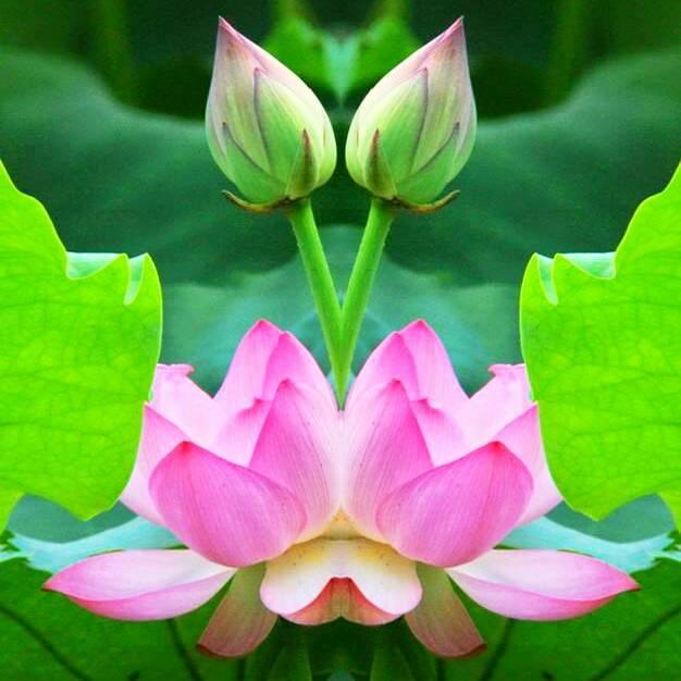 A习惯有祢み、♥