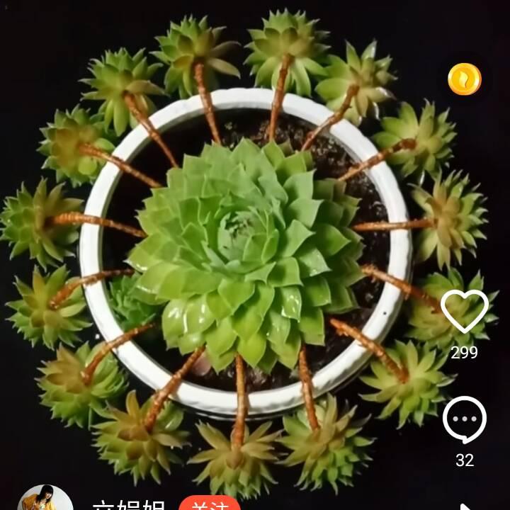 苏杰