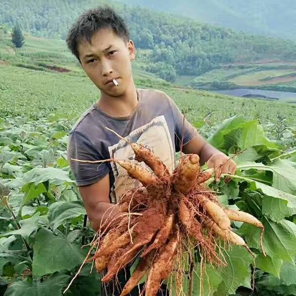 期待秋季大丰收