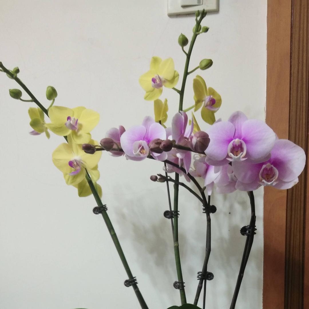 珍惜才会拥有