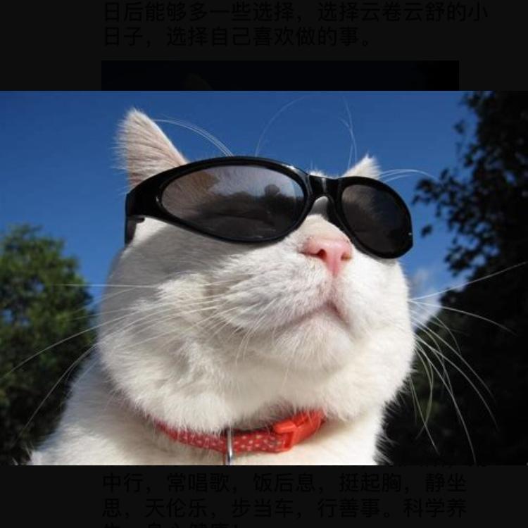 懂生活，有品位