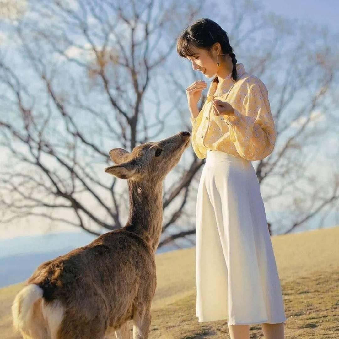 你若初见