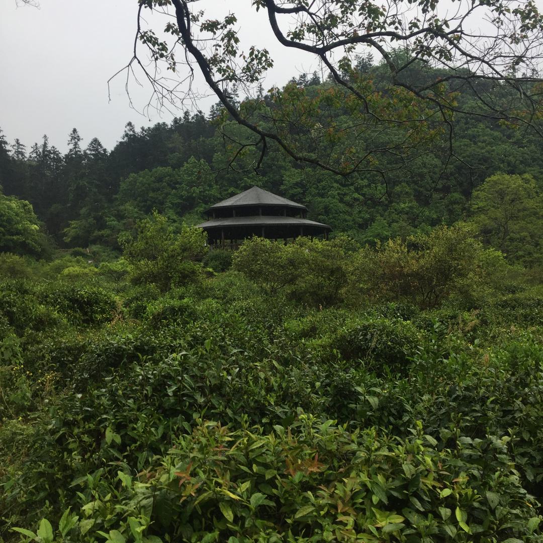 浮尘