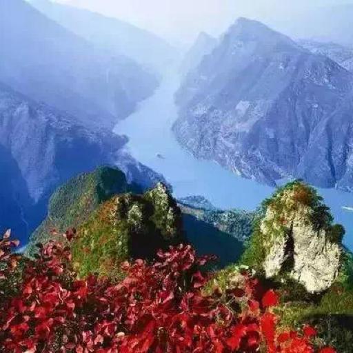 房不剩房啊
