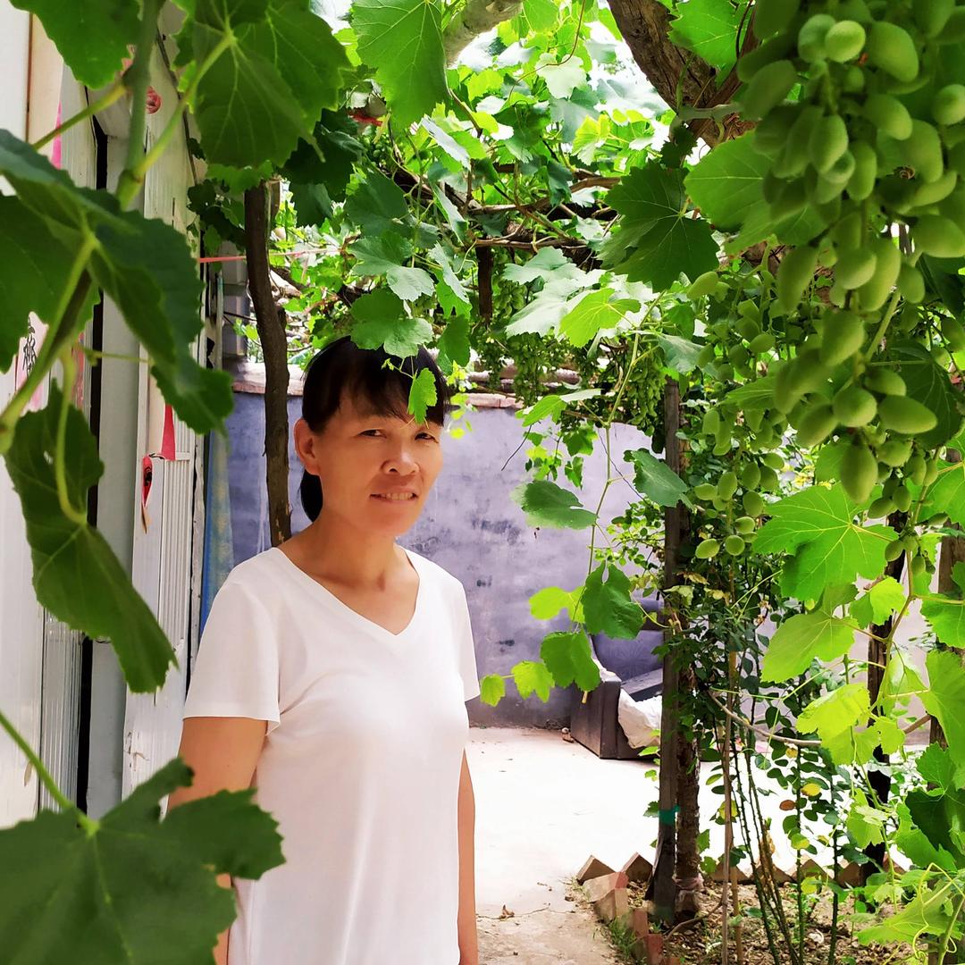 春意盎然