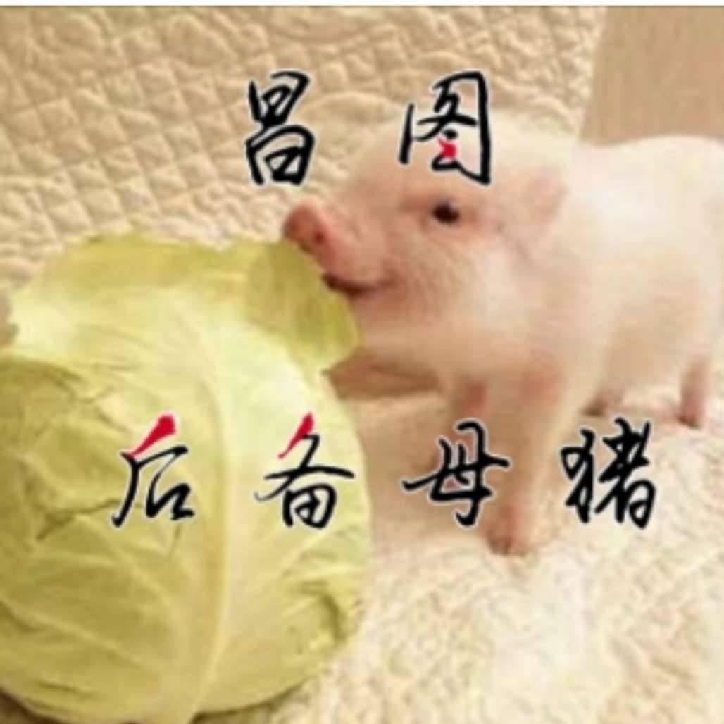 昌图后备母猪繁殖基地