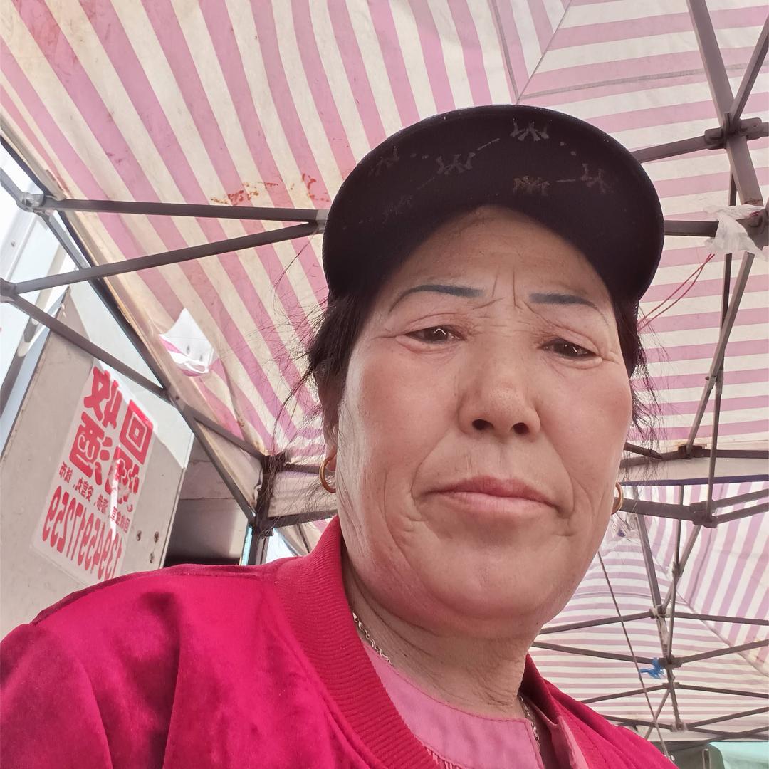 田风芝