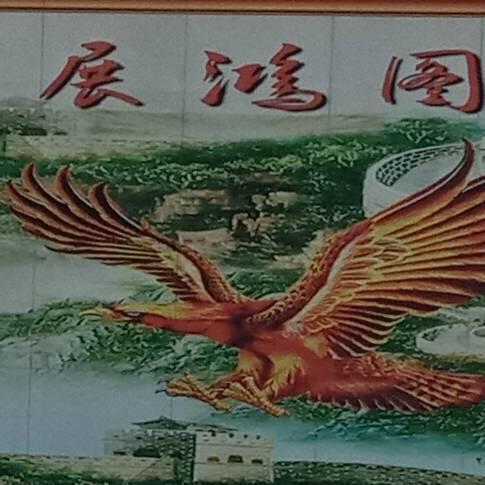神鹰_19887