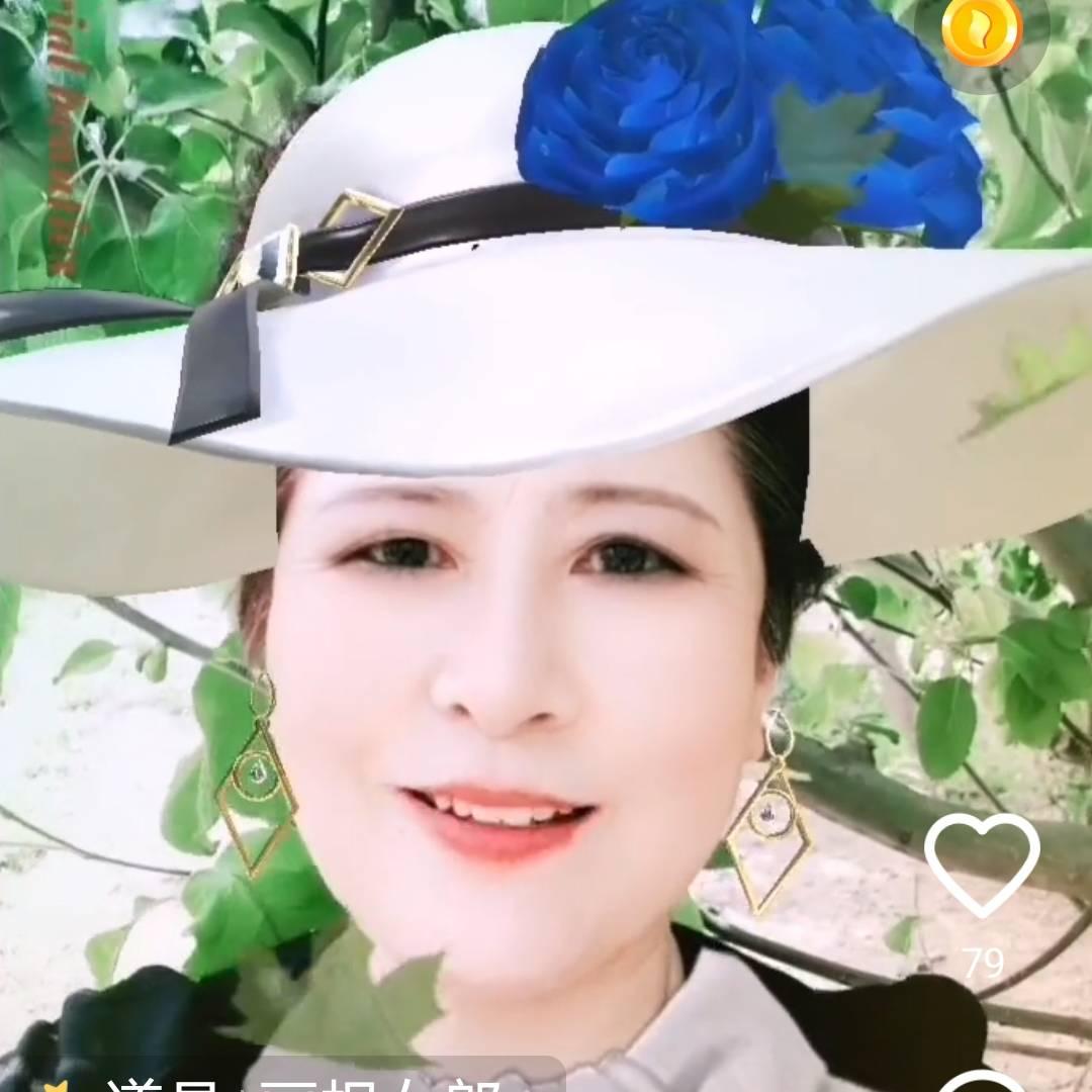 高琴25