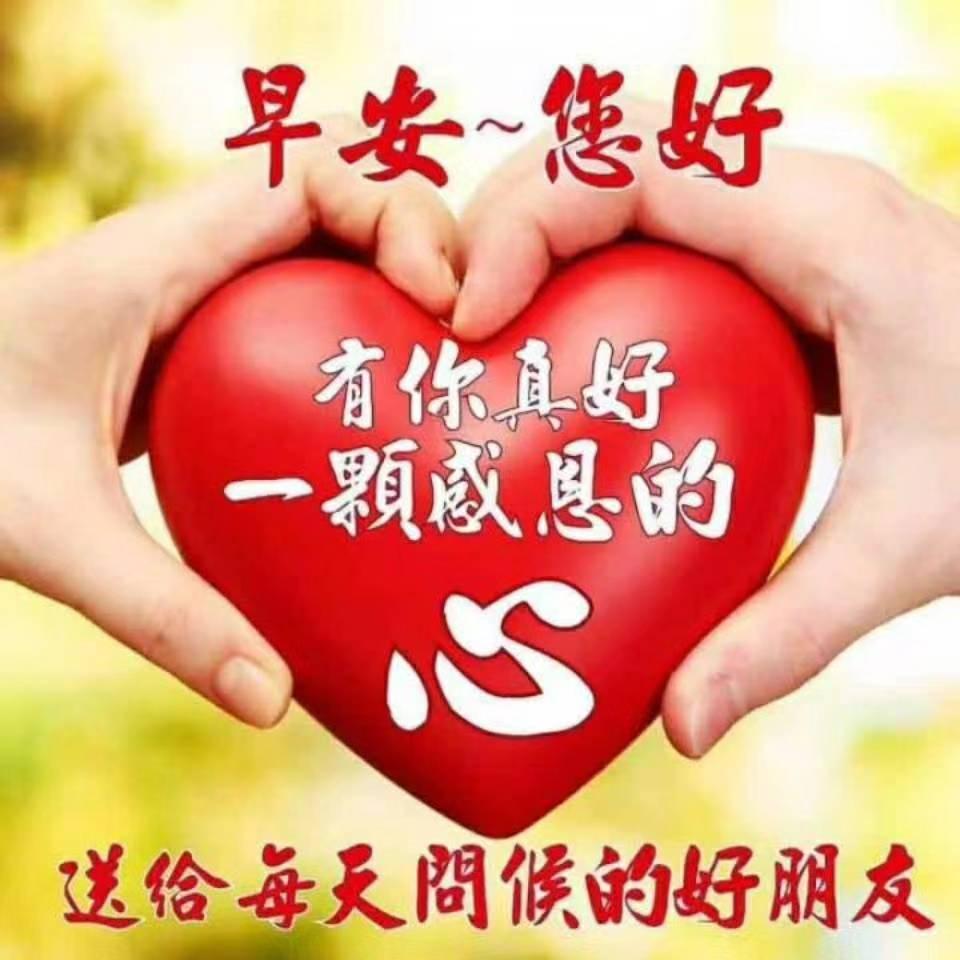 心如止水8879