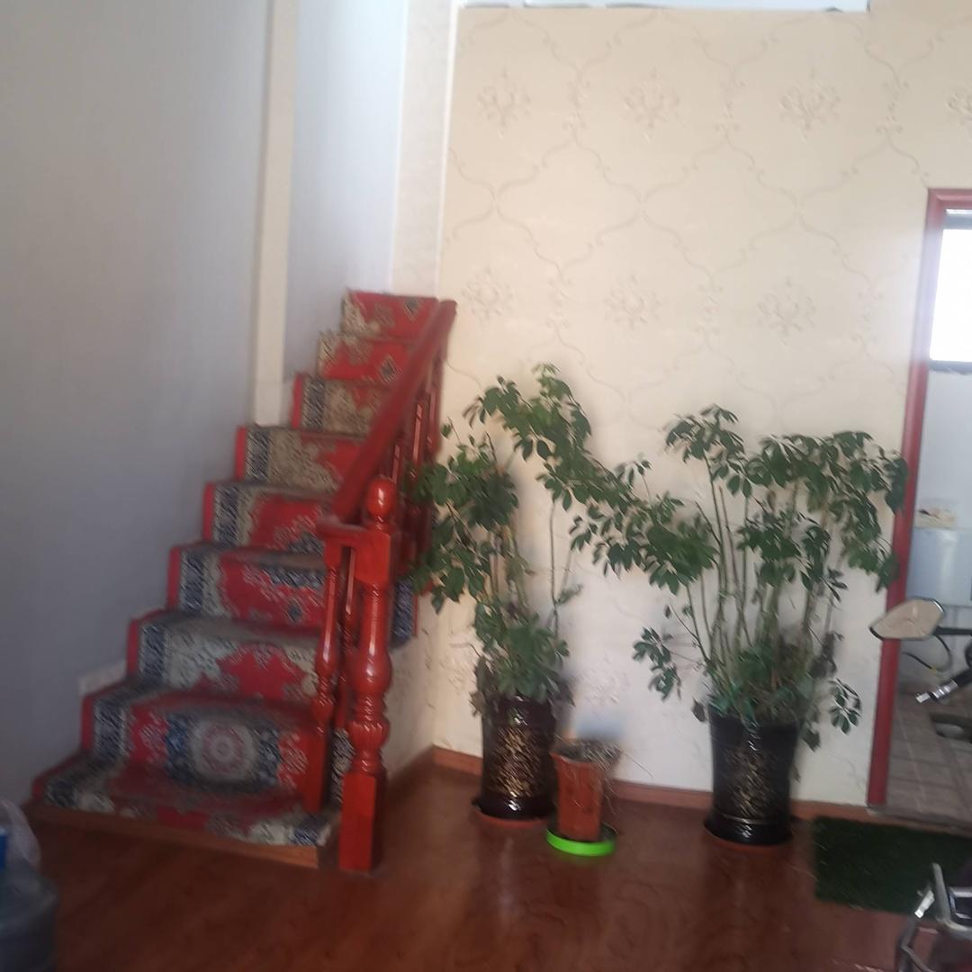 王老先生