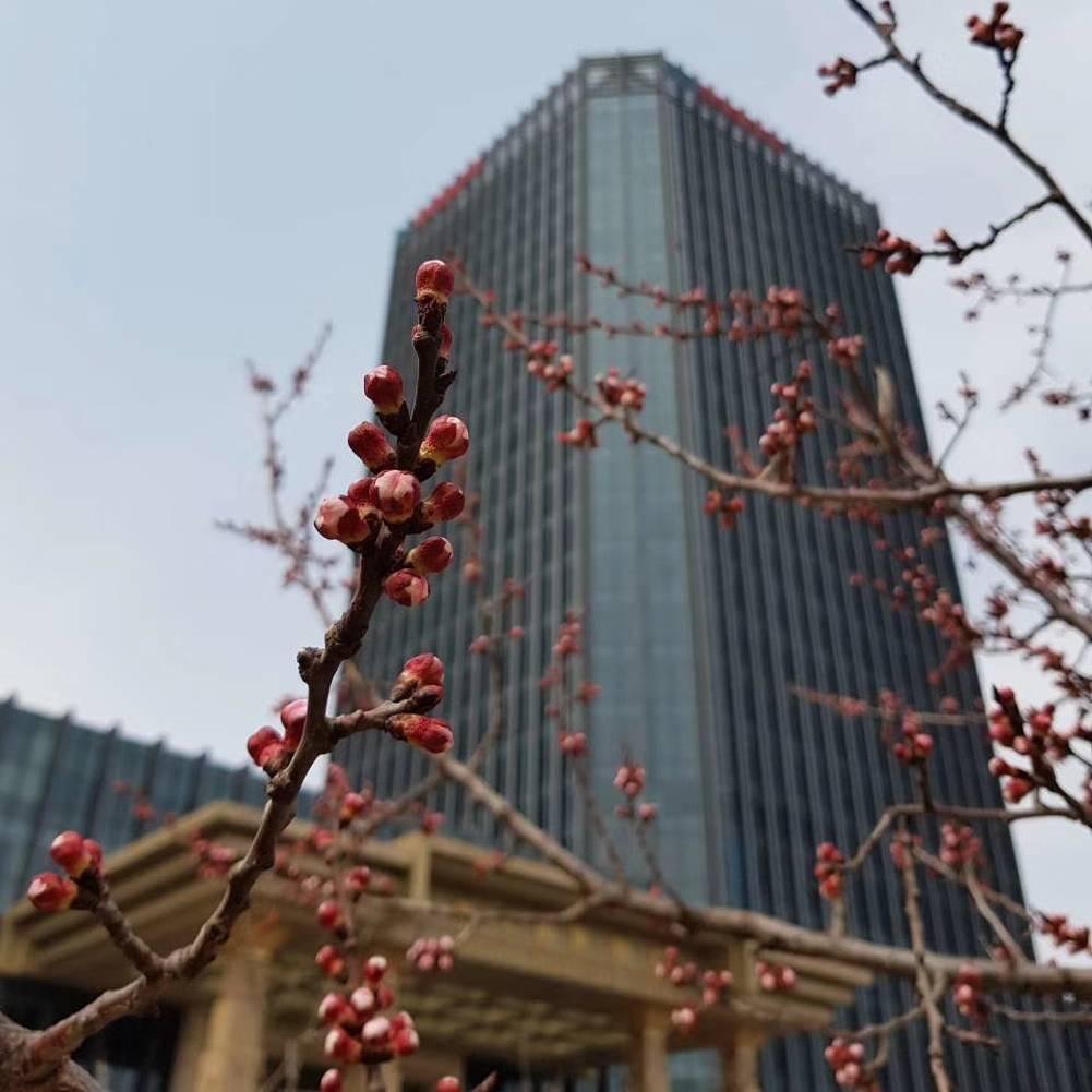 荣峰国际饭店官方号