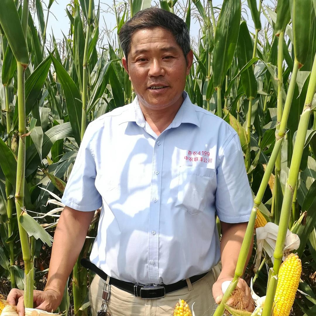 乡音戏曲丰收带给农民