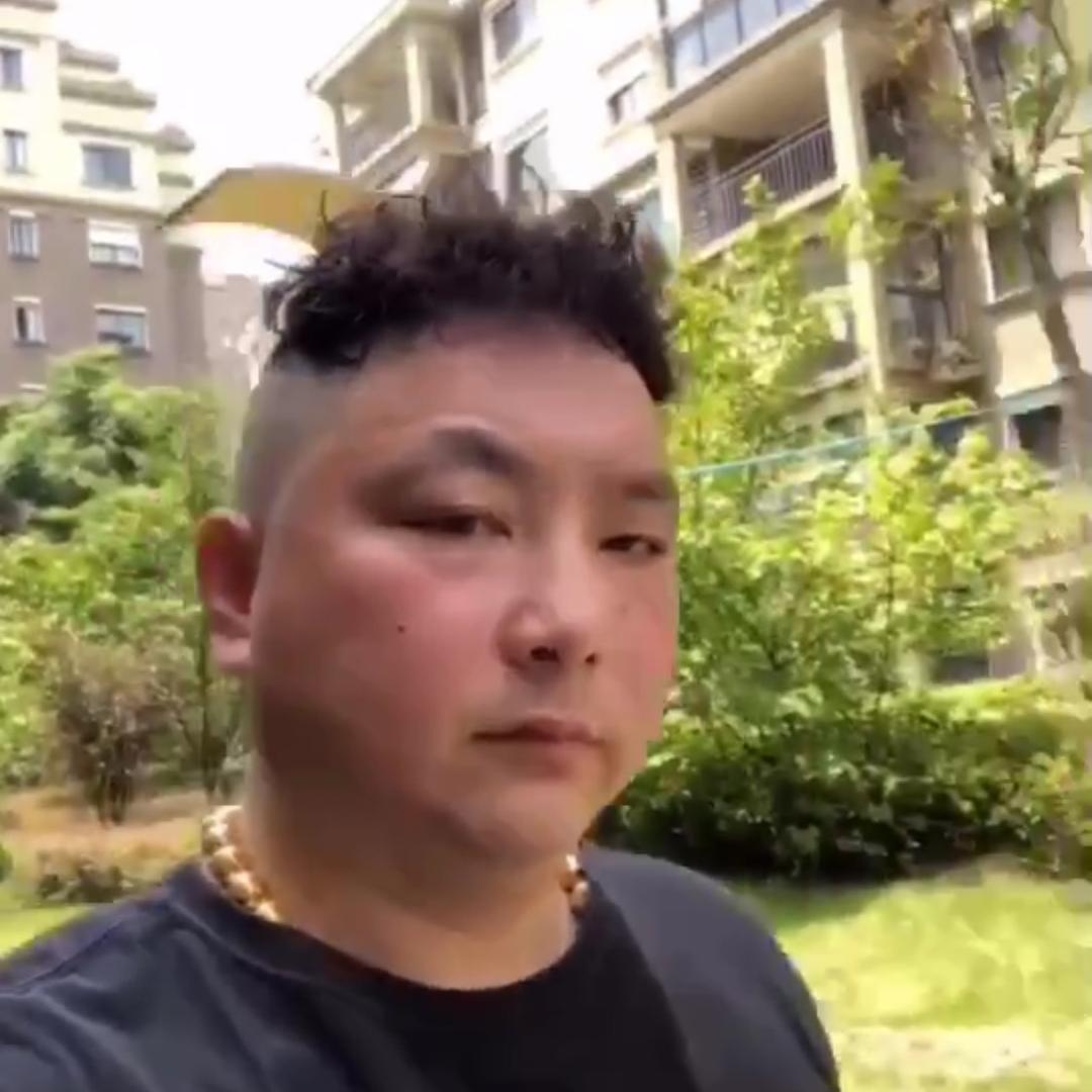 胖哥赛鸽