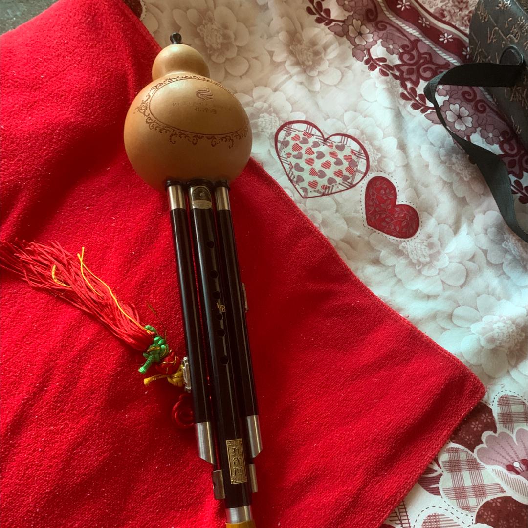 哥哥音乐梦想葫芦丝