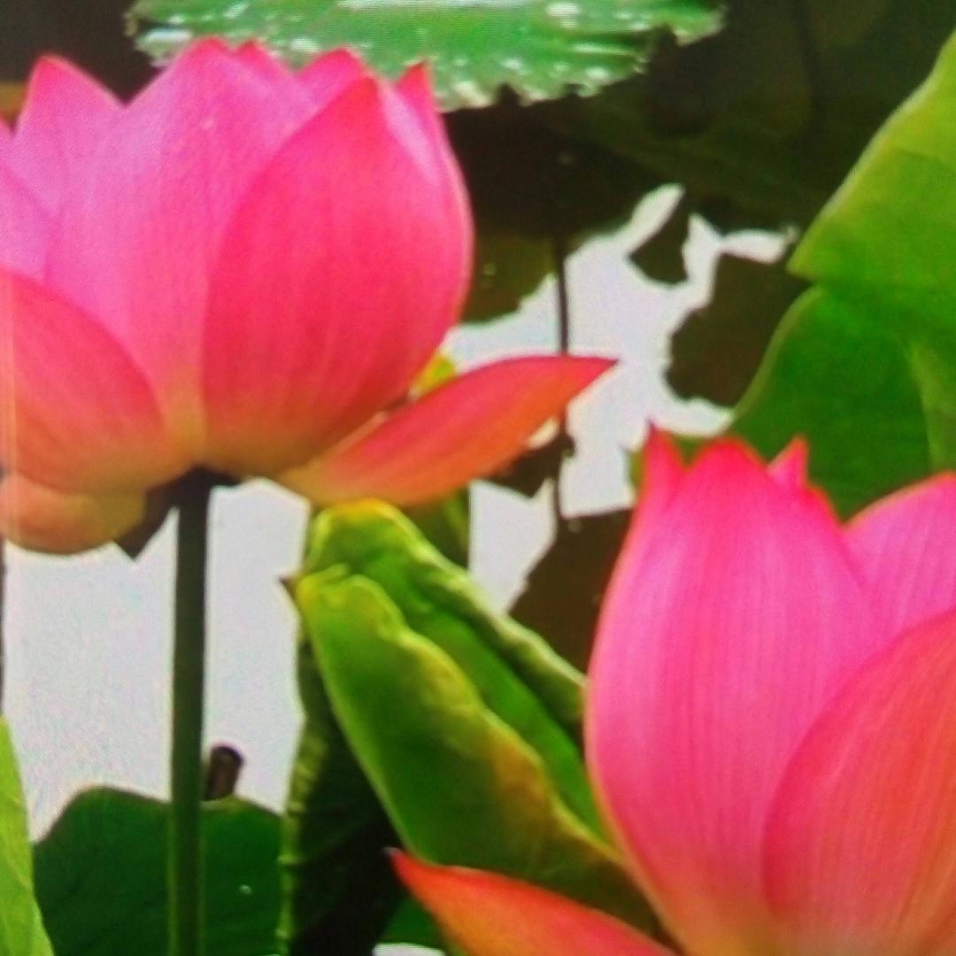 美好时光💝遇见你