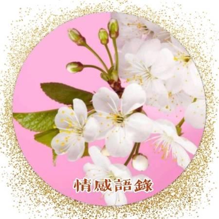 姿容文字