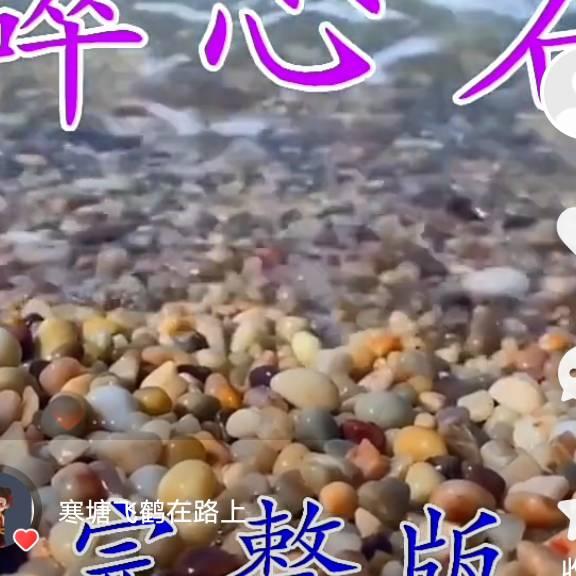 爱你的傻牛郎