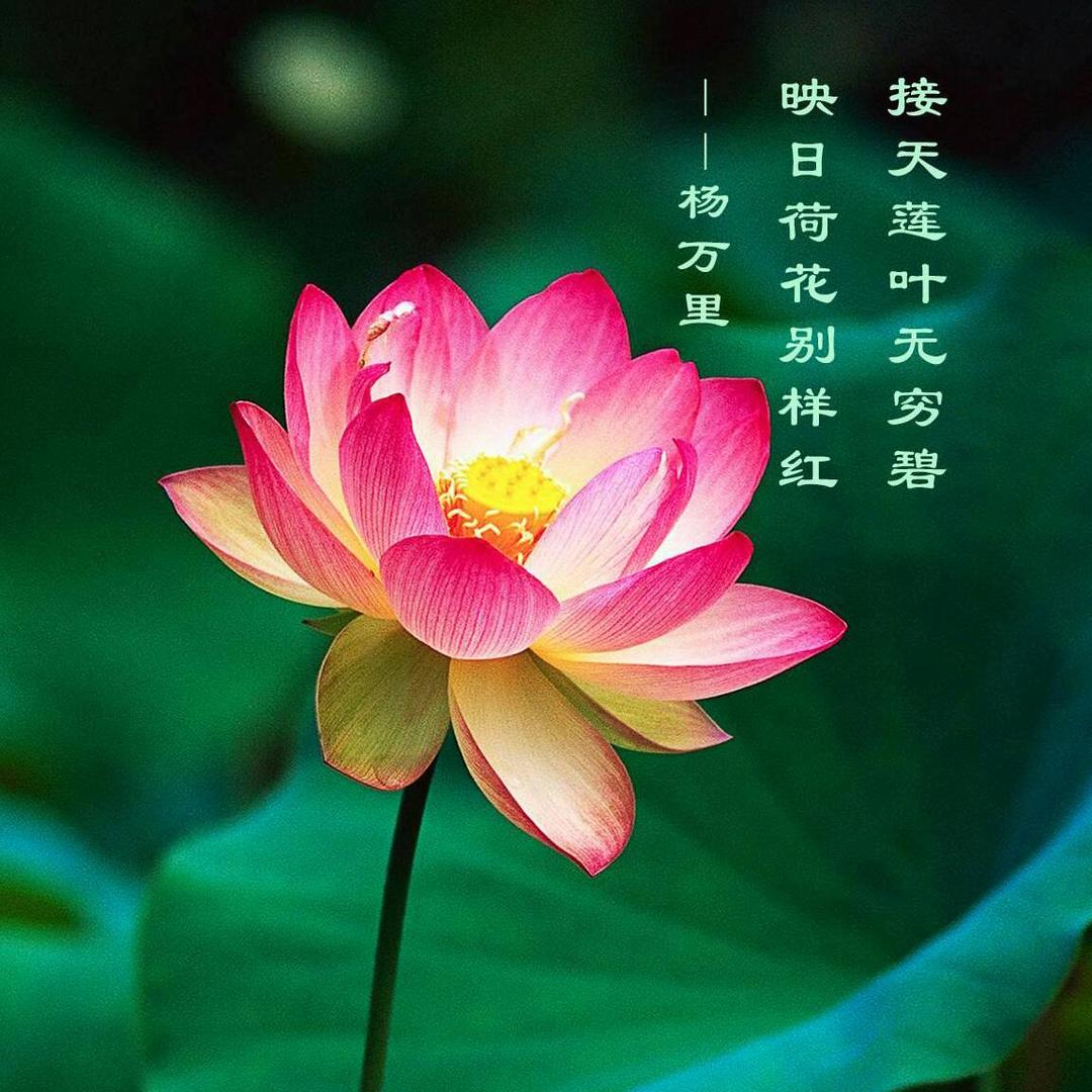 甜咖啡