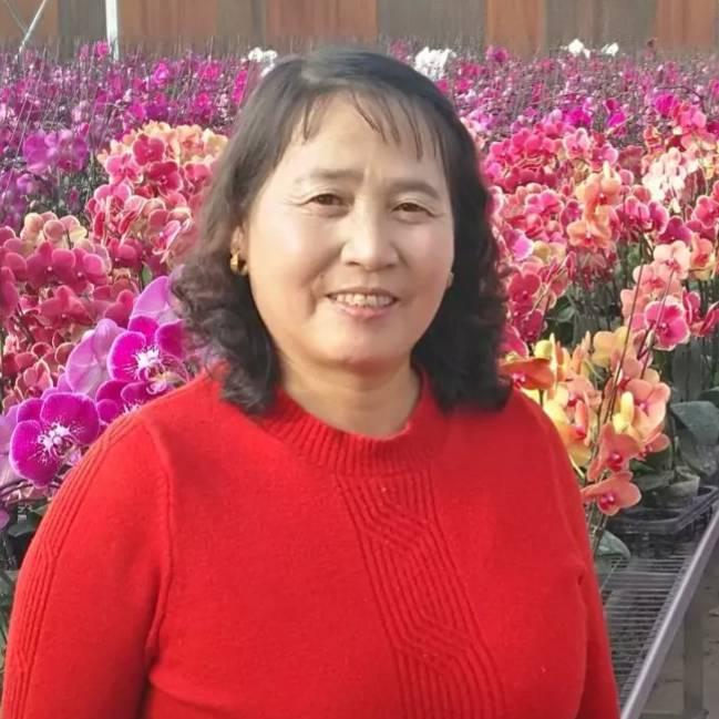 大英子的日常生活