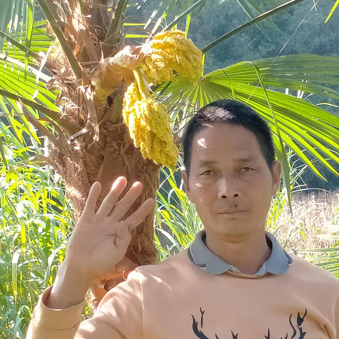 隆阳区学术苗圃（个体工商户）