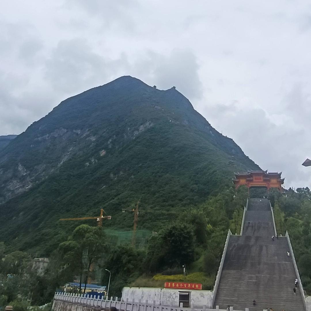 特别的玫瑰