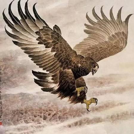 怒火神鹰