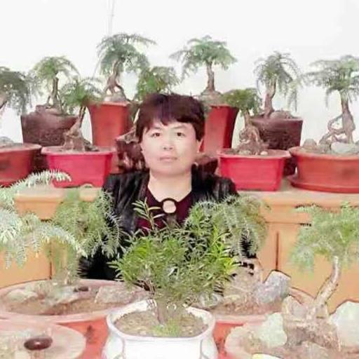 曹县侯集董梅家纺