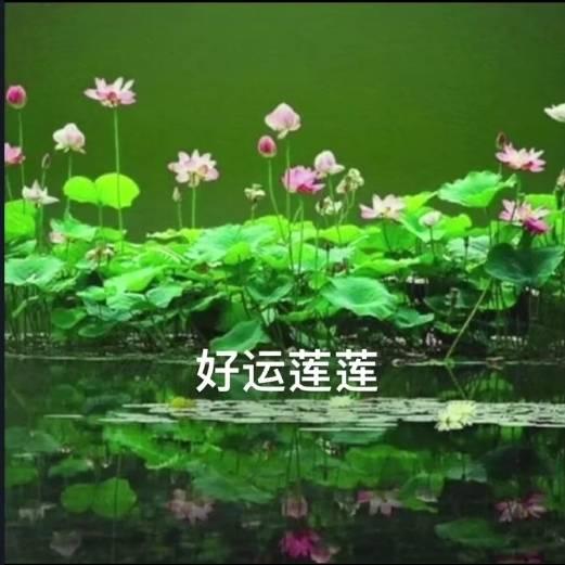 开心快乐每一天Y💐