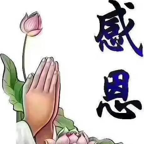 我用 心爱着你_