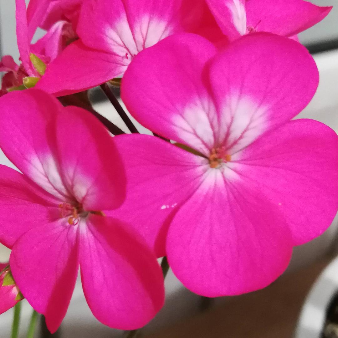 一帆风顺⛵️…