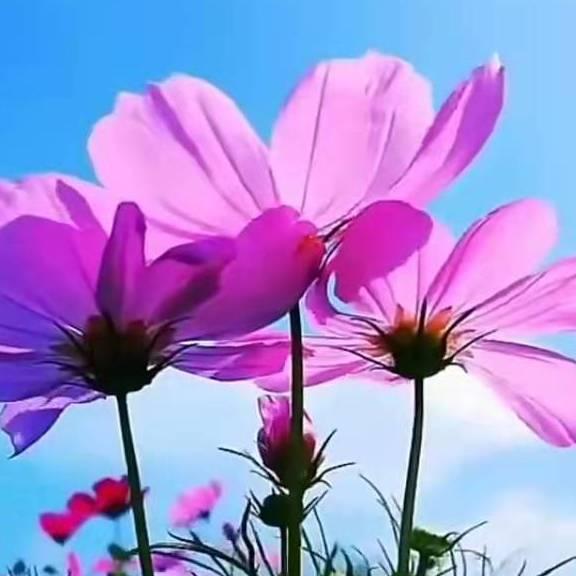 快进来看看，有惊喜