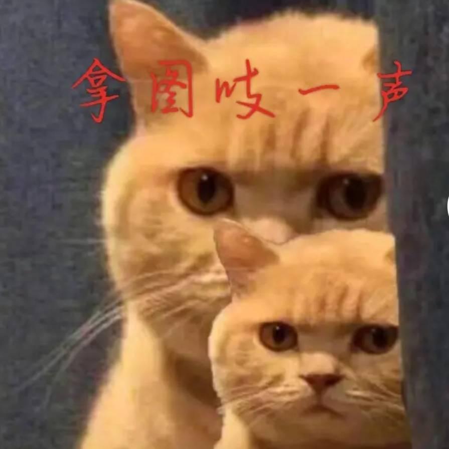 梦桃园