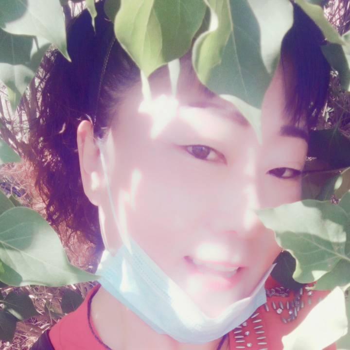 飘雪封心