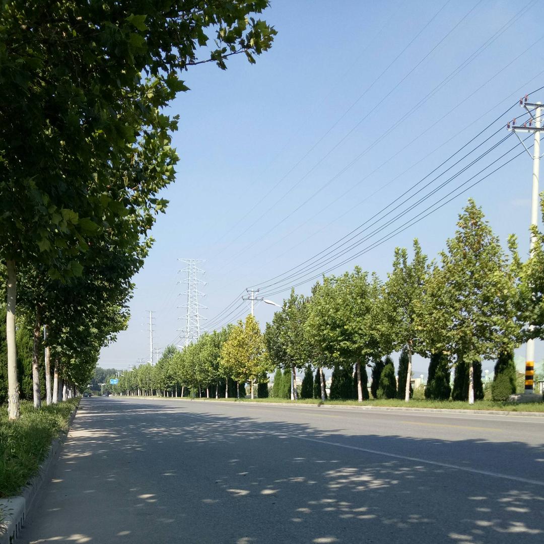 任性真可怕