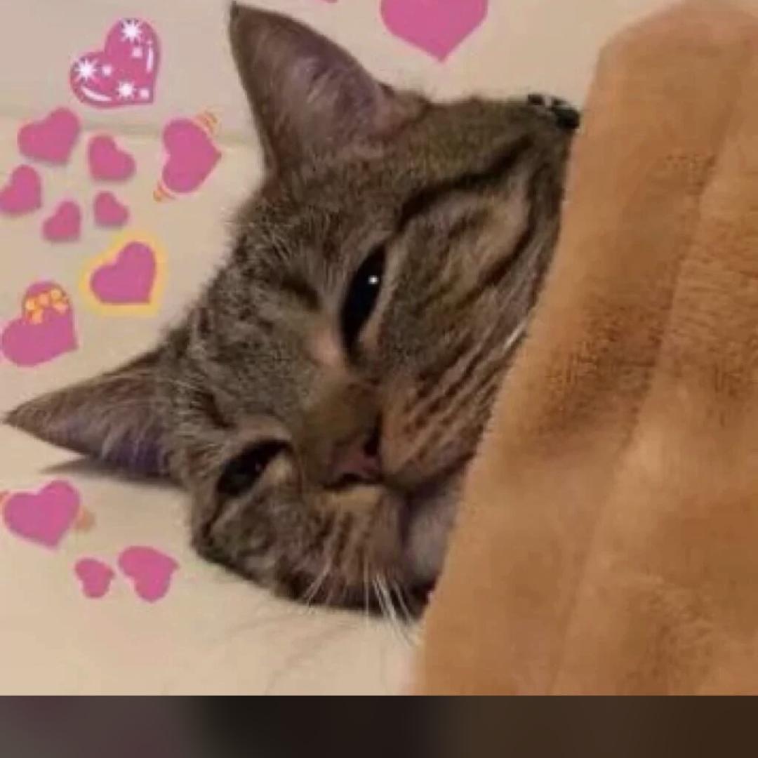 十二：