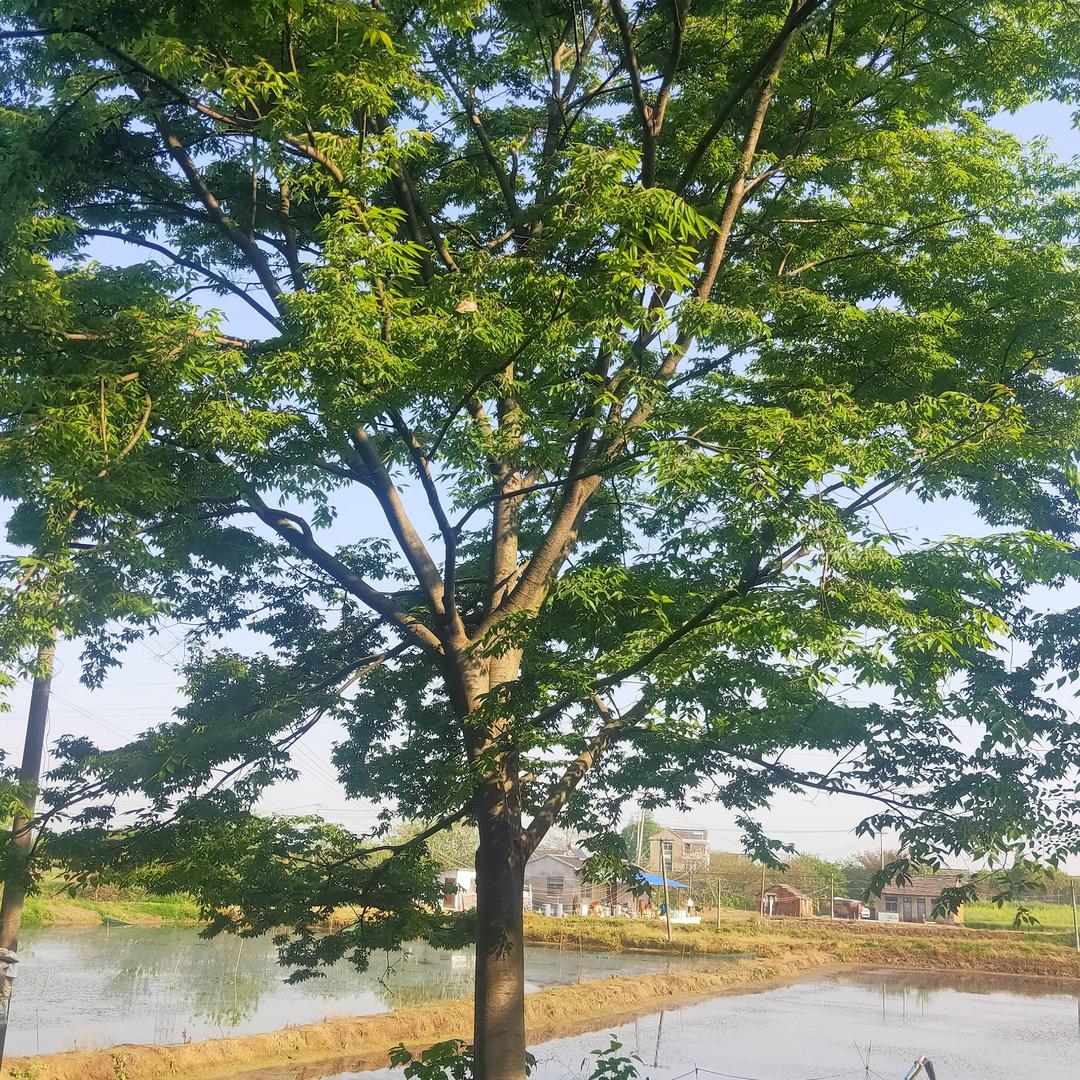 用户6832274852011