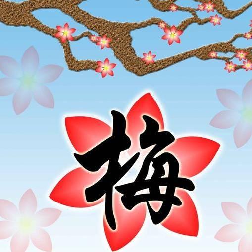 梅花香自苦寒zt79