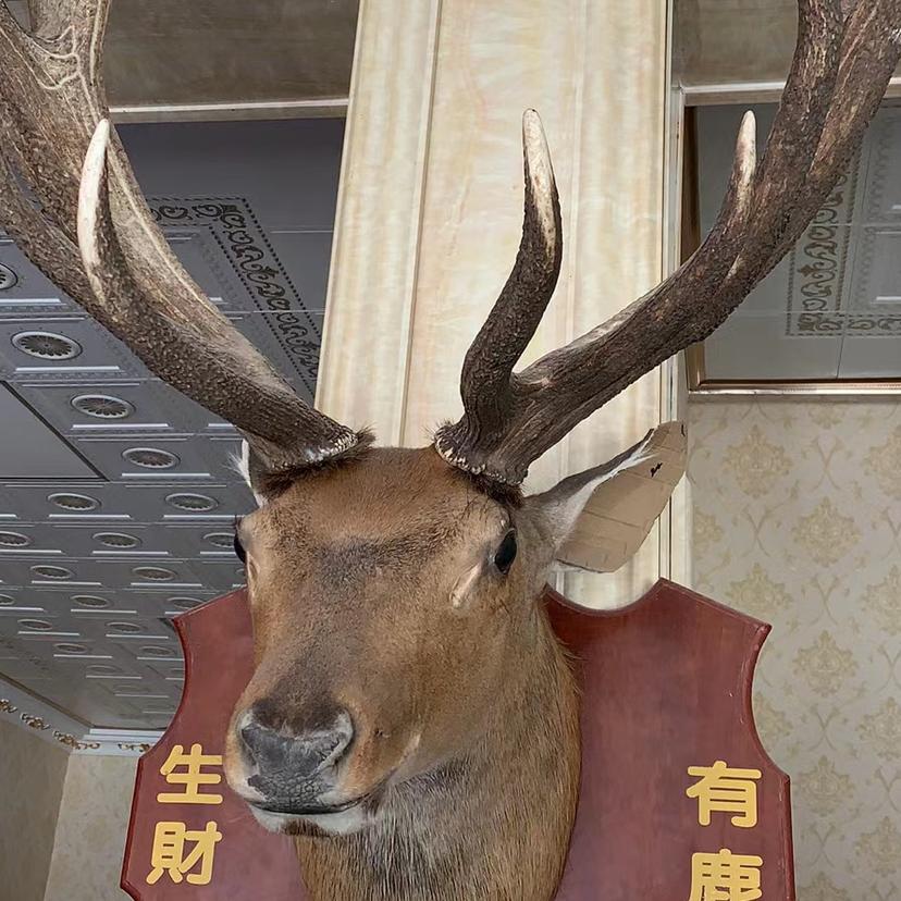 梅花鹿小镇