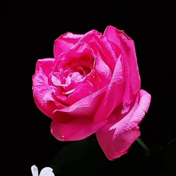 相逢是緣🌹🌹😙