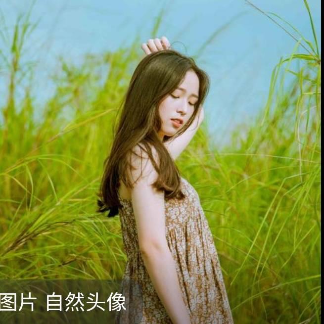 🌸小颖🌸
