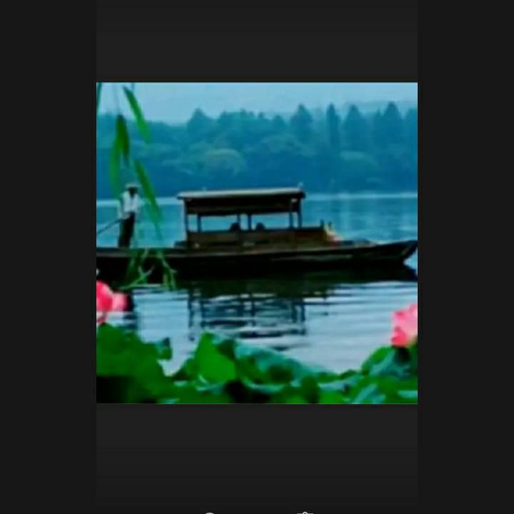 花 好 🌹月 圆