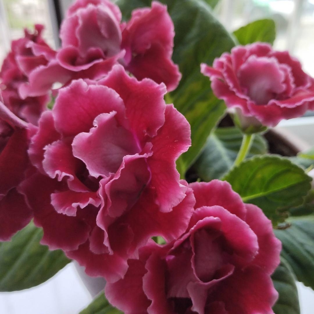 🎀快乐每一天🎀