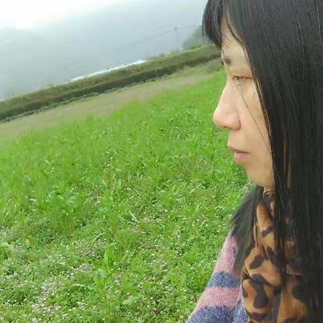 鸿雁飞翔