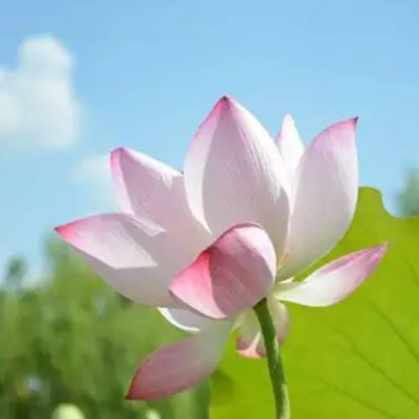 A快乐一生光轴导轨托