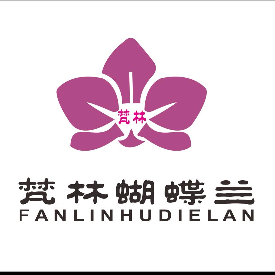 蝴蝶兰℃梵林蝴蝶兰