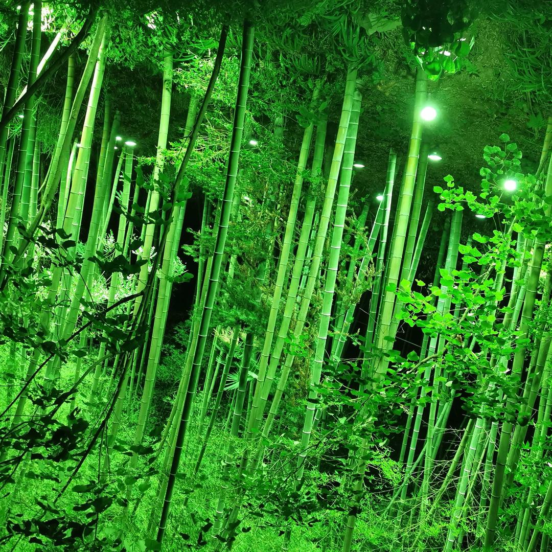 柯尔嫚皮肤管理(世纪花城店)